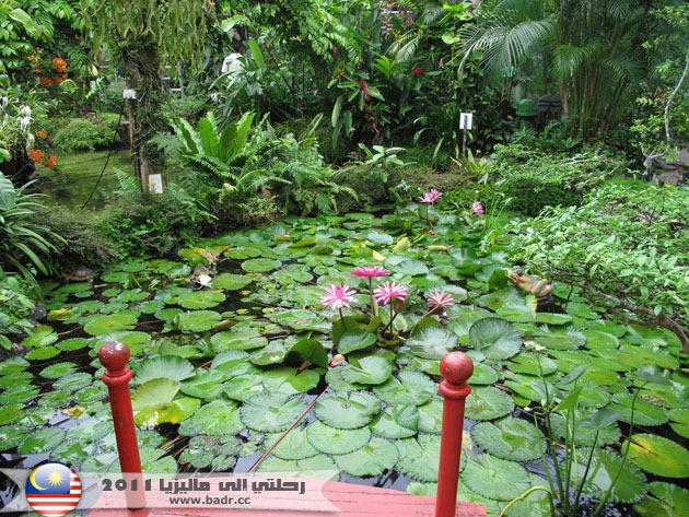 حديقة الفراشات بينانج